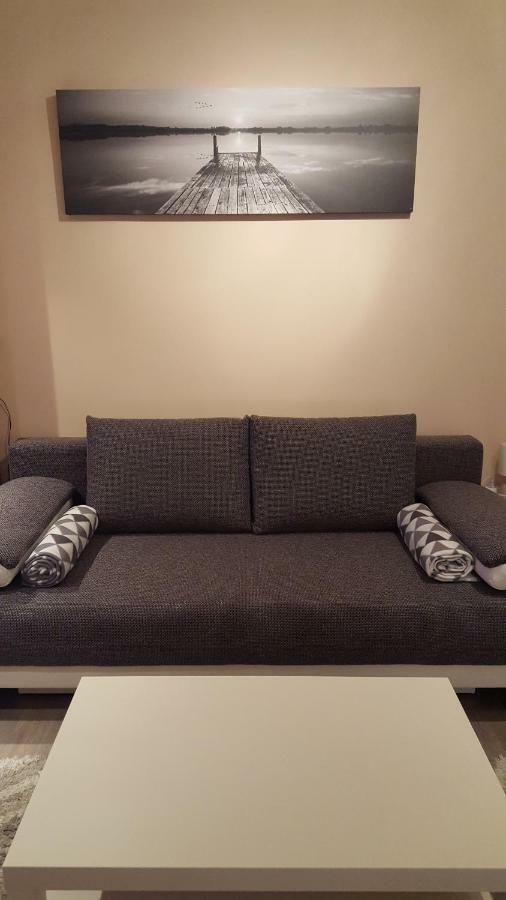 Liget Apartment, Terrace, Free Parking, Ac ブダペスト エクステリア 写真