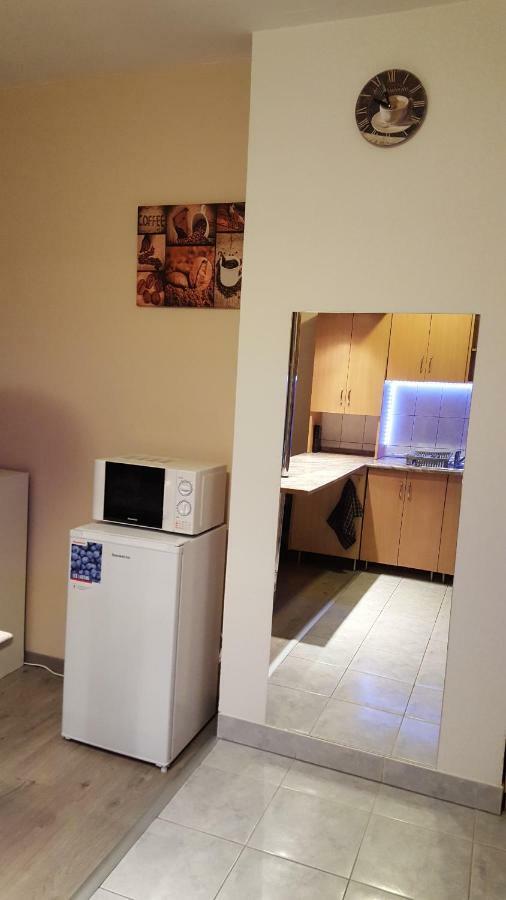 Liget Apartment, Terrace, Free Parking, Ac ブダペスト エクステリア 写真