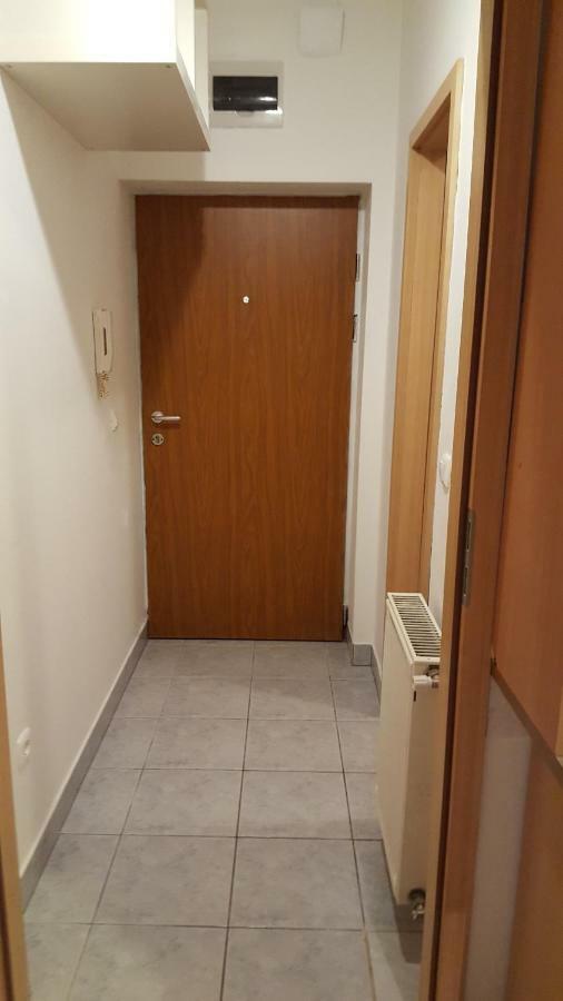 Liget Apartment, Terrace, Free Parking, Ac ブダペスト エクステリア 写真