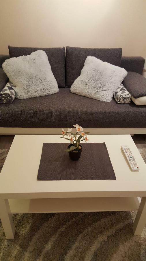 Liget Apartment, Terrace, Free Parking, Ac ブダペスト エクステリア 写真