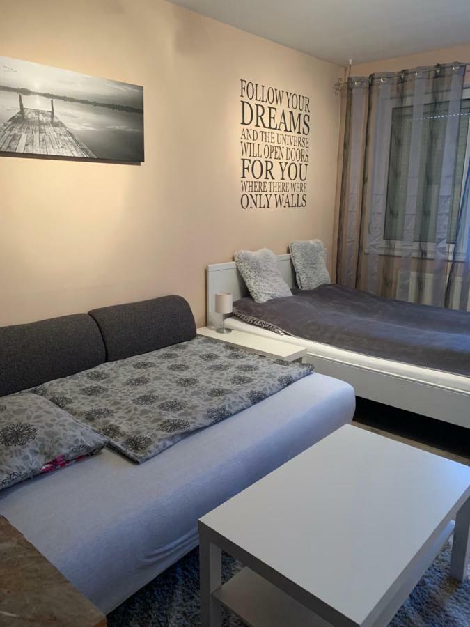 Liget Apartment, Terrace, Free Parking, Ac ブダペスト エクステリア 写真