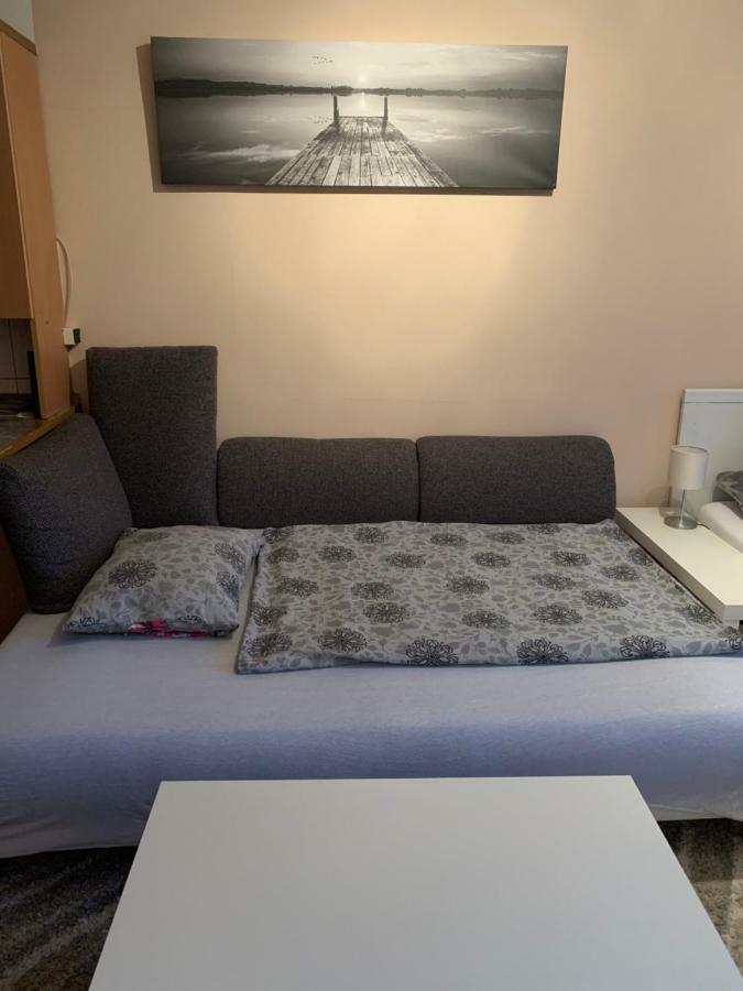 Liget Apartment, Terrace, Free Parking, Ac ブダペスト エクステリア 写真